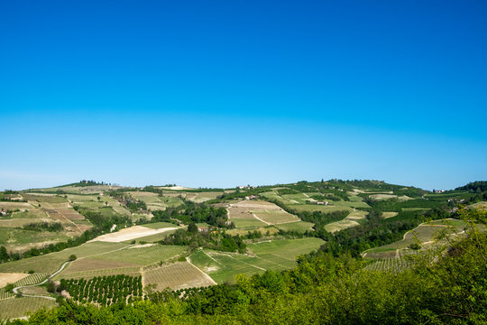 Vineyards on hills in the Langhe region, Piedmont, Italy