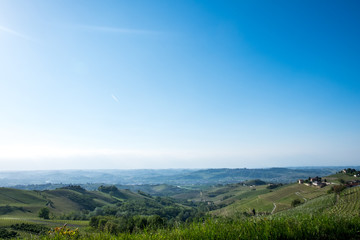 Fototapeta na wymiar Vineyards on hills in the Langhe region, Piedmont, Italy