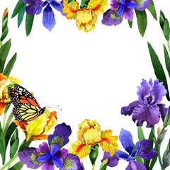 Wildflower iris flower frame in a watercolor style isolated.