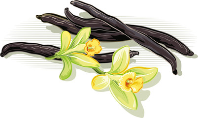 vanilla beans and flowers.