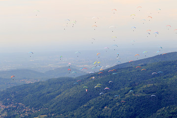 many paragliders on the sky