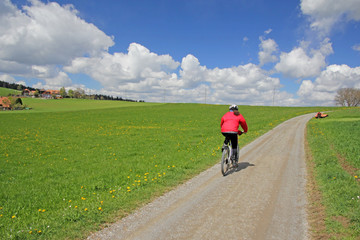 Fototapeta premium Längenberg, Alpen, Schweiz 