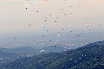 many paragliders on the sky