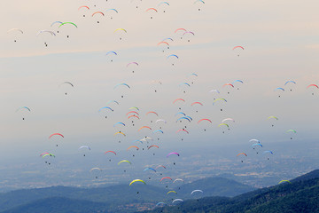 many paragliders on the sky