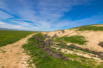 Wallace Creek, Carrizo Plain National Monument, San Andreas Fault (boundary between the Pacific Plate and the North American Plate), California USA, North America