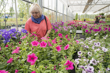 Middle-aged woman chooses flowers at the garden center