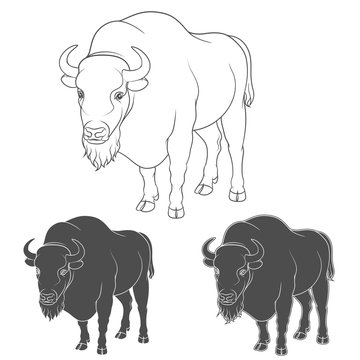 Set of black and white vector images with a bison.
