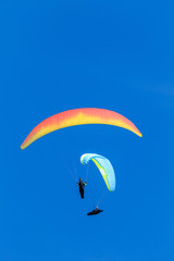 many paragliders on the sky