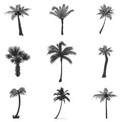 Poster Vector set of silhouettes of palm trees, isolated on white background. © Gosha_R