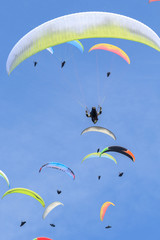 many paragliders on the sky