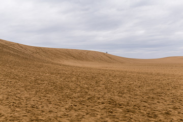 Fototapeta na wymiar Tottori Dunes