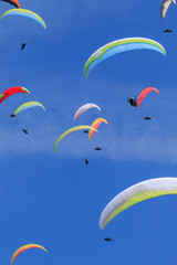 many paragliders on the sky