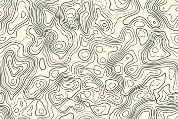 Fototapeta premium Seamless pattern topographic map background. Vector illustration.