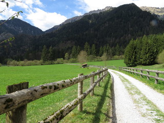 Fenced pathway through meadows