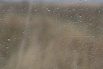 Rain drops on the glass with natural background outside the window.