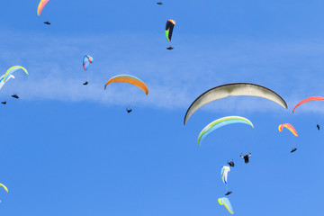 many paragliders on the sky