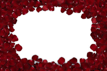 frame of red rose petals isolated