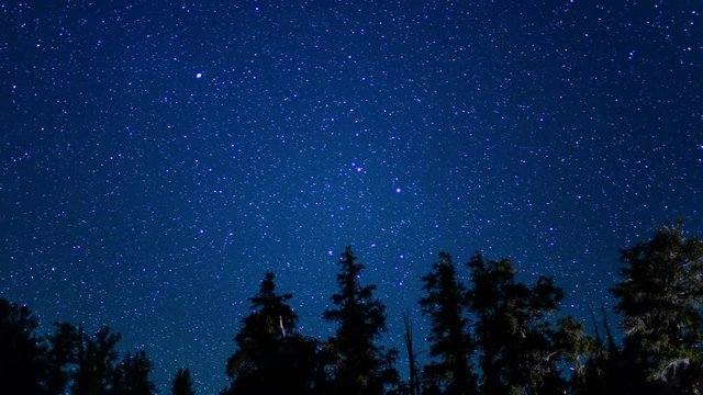 Bristlecone Pine Milky Way Galaxy Dolly Pan 04 Time Lapse Stars