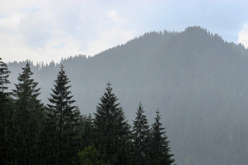 Landscape  of the forest and mountains with rain
