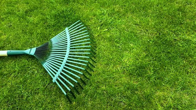 Garden rake on a green lawn. Gardening Tools