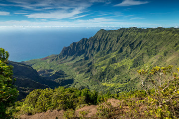 Naklejka premium The beautiful Kalalau valley on the island of Kauai, Hawaii