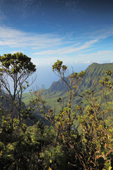 Obraz na płótnie Canvas The beautiful Kalalau valley on the island of Kauai, Hawaii