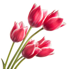 Bouquet of flowers isolated on a white background