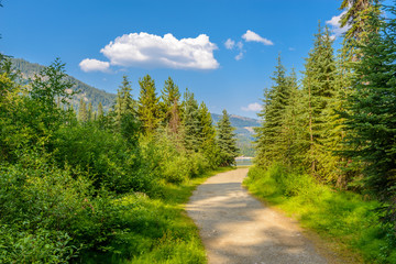 Fototapeta premium Beautiful Mountain Trail View at Lightning Lakes, British Columbia, Canada.