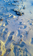 Dejando atras tus pasos