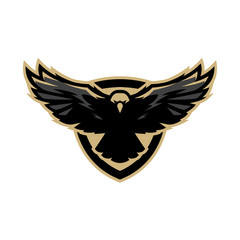 Eagle in flight, logo, symbol.