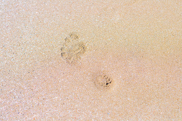 Footprint on sand beach texture background. Summer travel concept. Copy space. Closeup