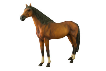 Fototapeta na wymiar Wild brown horse standing isolated on white background
