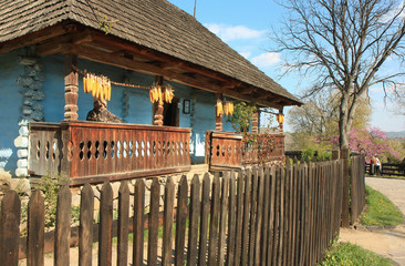 Fototapeta na wymiar Traditional Ukrainian wooden house.Truskavets.Ukraine