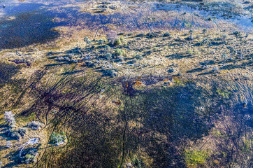 Okavango delta (Okavango Grassland) is one of the Seven Natural Wonders of Africa. A herd of...