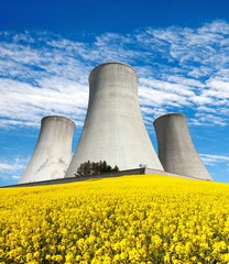 cooling tower with golden flowering field of rapeseed