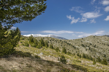 Pelister National Park, Bitola, Macedonia