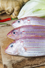 Sea bream fish