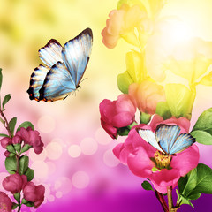 floral background with butterfly and flowers