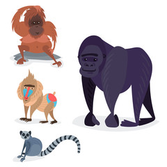 Different breads monkey character animal wild zoo ape chimpanzee vector illustration. © Vectorwonderland