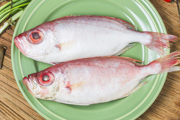 Red bigeye fish