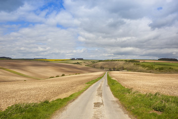 small scenic country road