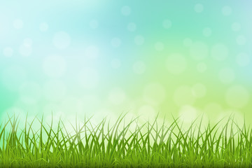 High quality green grass on natutal background, vector illustration.