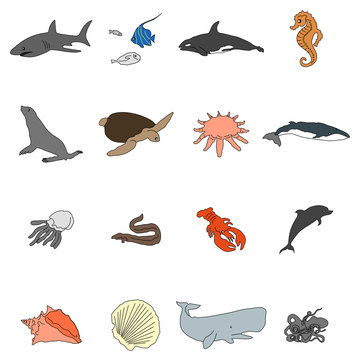 Icons of sea inhabitants in a flat style with a black stroke. Vector image on a round colored background. Element of design, interface