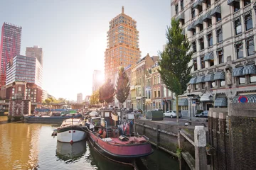Fototapeten Die Kanäle von Rotterdam. Stadtkanäle. Straße am Kanal entlang. Bäume und Autos entlang des Kanals bei sonnigem Wetter. © andrey gonchar