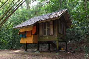 Fototapeta na wymiar Surat Thani, Monk's Cabin in The Forest
