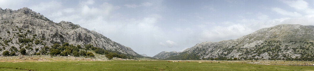 Fototapeta na wymiar Panorámica de los llanos de Líbar en el parque natural de Grazalema, Andalucía