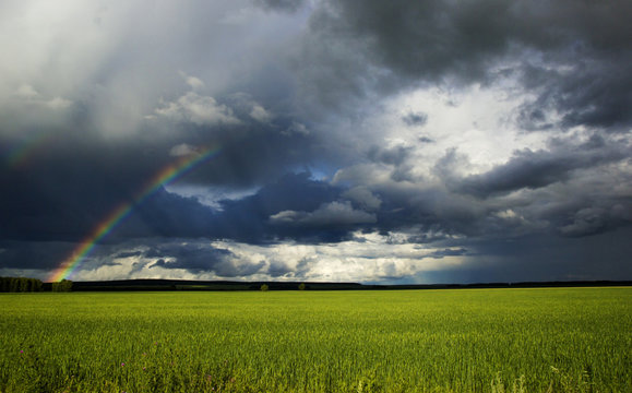 green field and rainbow under beautiful sky on the way from Karaganda to Astana, Kazakhstan