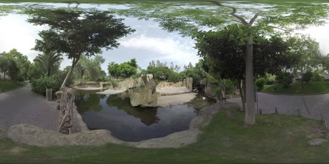 VALENCIA, SPAIN - JULY 15 2016: 360 VR video. Green area of Valencia Biopark with flamingos ihabiting area with rocks and water. 10-hectare zoo park opened in 2008