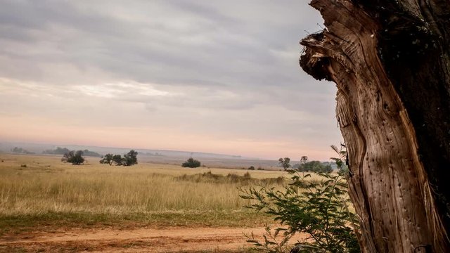 Zeitraffer Wolken Savanne Afrika