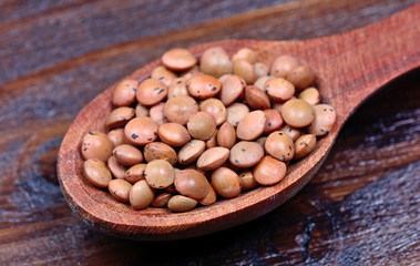 Dry brown lentils in a spoon